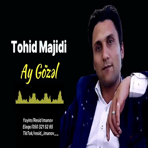 دانلود آهنگ توحید مجیدی - دردینن داغلاری داشلاری گزرم آی گوزل